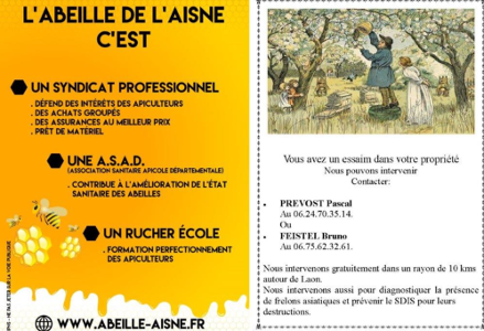 L'abeile de l'Aisne
