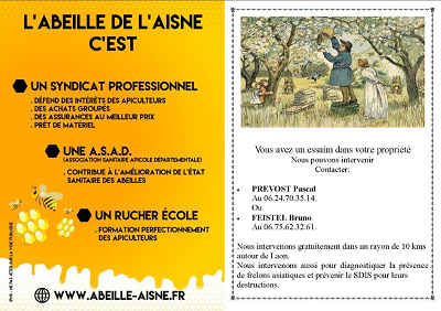 L'abeile de l'Aisne